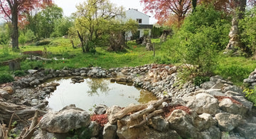 Naturgarten – Nutzen, Anlage, Pflege