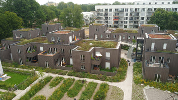 Naturnahes Gründach – darauf kommt es an!