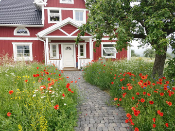 Anleitung zur Anlage und Pflege von Wildblumen-Wiesen und Wildblumen-Säumen