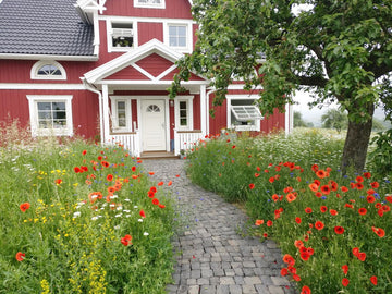 Anleitung zur Anlage und Pflege von Wildblumen-Wiesen und Wildblumen-Säumen