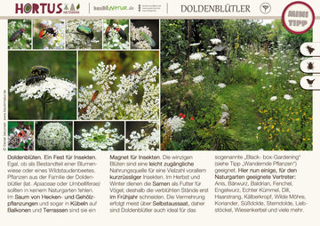 Lebensraum Garten – Minitipps-Broschüre: Teil 2