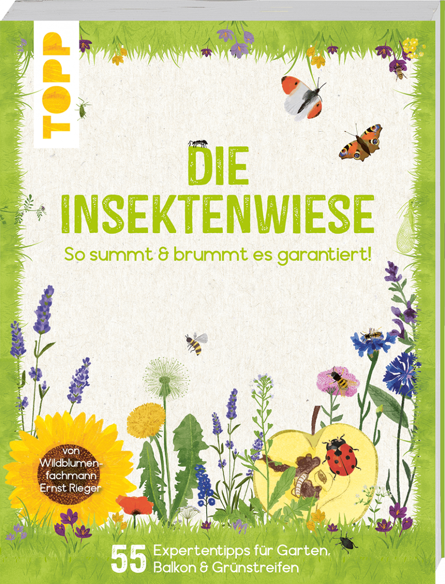Die Insektenwiese: So summt & brummt es garantiert!