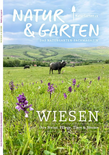 Wiesen & Säume
