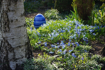 Sibirischer Blaustern (Scilla Siberica) (A9012) 