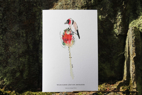 Wilde Karde lädt ein: Distelfink