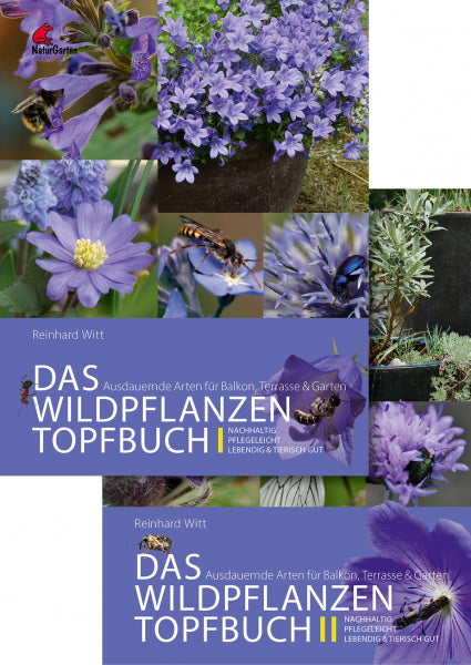 saatgut feuchtwiese Feuchtwiese (100g)