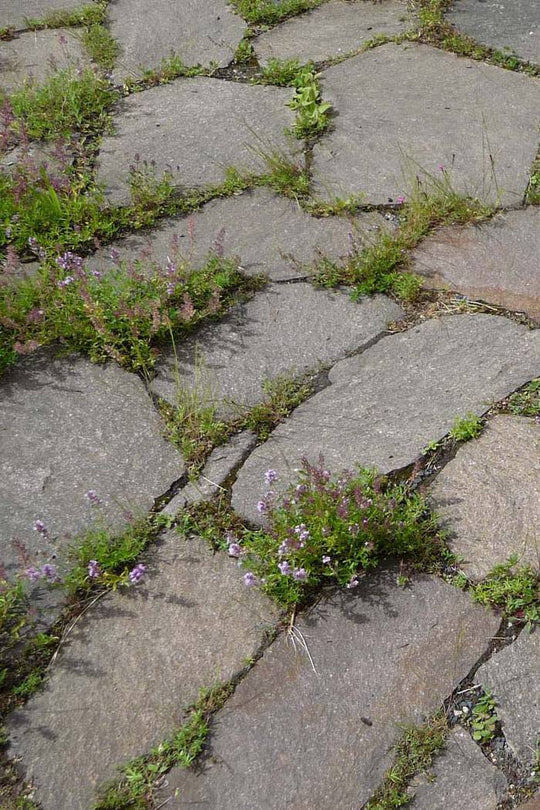 Fugenmischung (10m²)