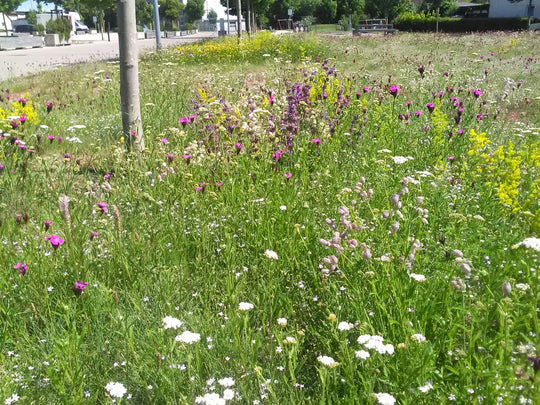 Pflaster- und Schotterrasen (10m²)