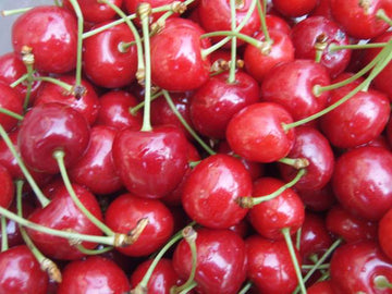 Süßkirsche "Große Prinzessinkirsche"